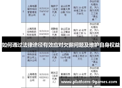 如何通过法律途径有效应对欠薪问题及维护自身权益