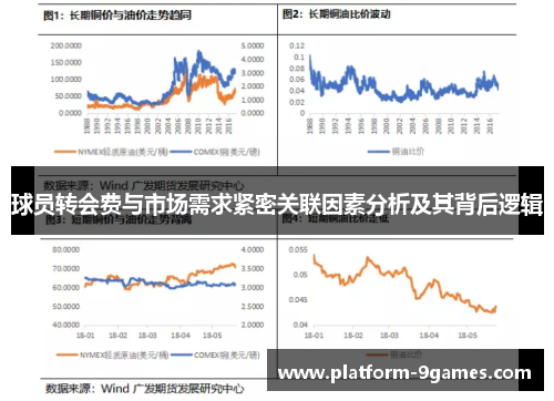 球员转会费与市场需求紧密关联因素分析及其背后逻辑