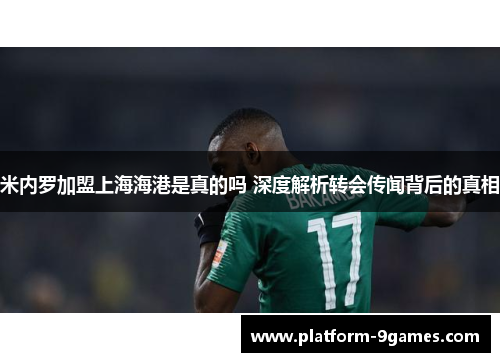 米内罗加盟上海海港是真的吗 深度解析转会传闻背后的真相